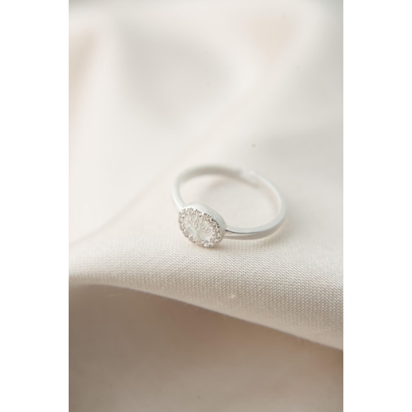 Silverring FA182269