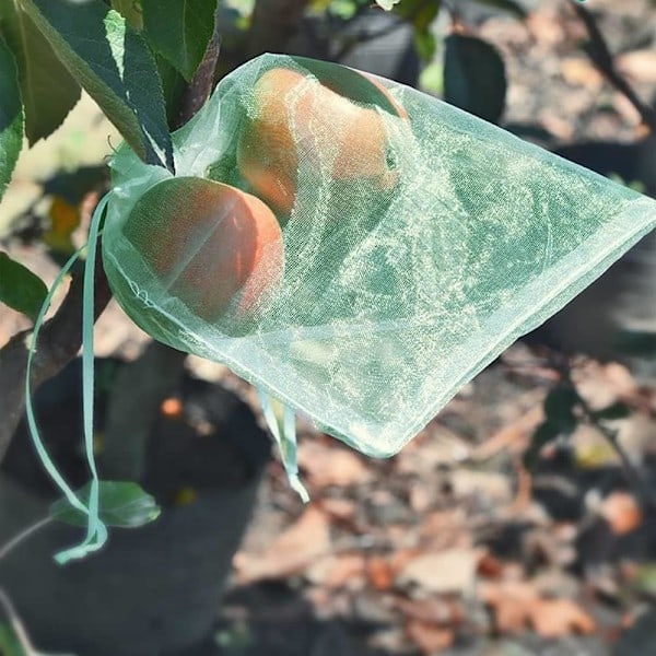 Druebeskyttelsespose, 50 frugtposer, åndbar organza