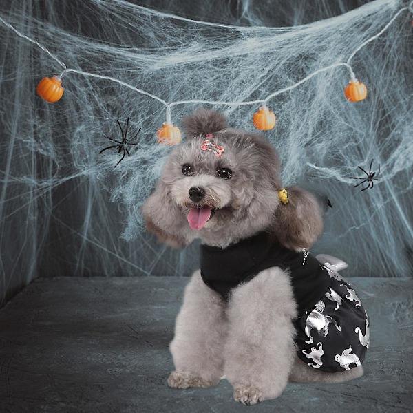 Hämähäkinseitikkösetti Pelottavat Halloween-lemmikkieläinten tarvikkeet Koiranvaatteet Noitamekko Lemmikin asu Koiran asu Liehuva mekko Joulupäivä