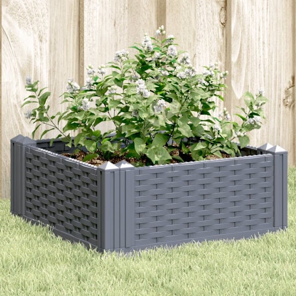 Kasvatuslaatikko piikeillä sinertävänharmaa 42.5x42.5x28.5 cm PP