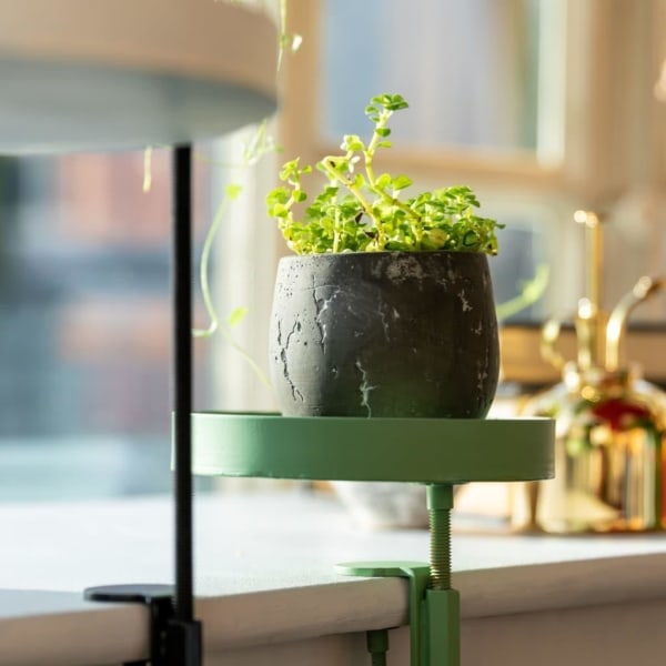 REMAKE Esschert Design Växtbricka med klämma rund grön S Grön