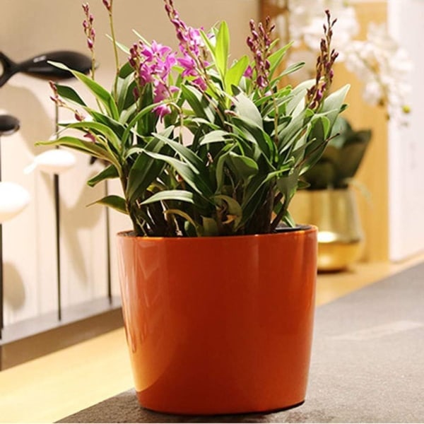 Runda självvattnande blomkruka med vattenindikator för inomhusbruk