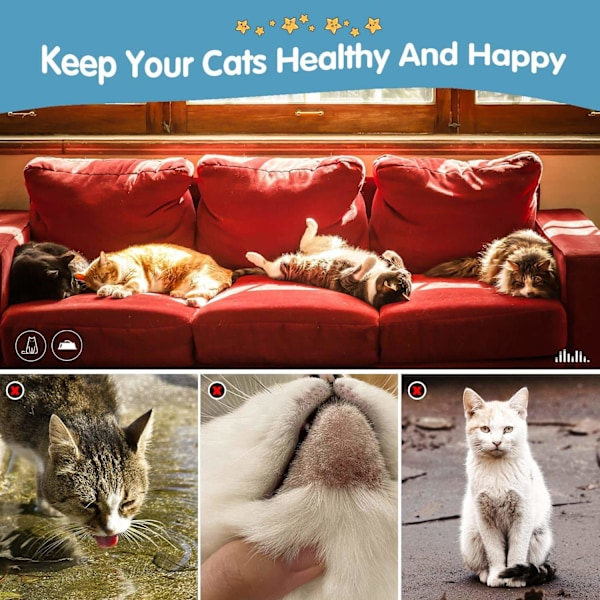 REMAKE Vandfontæne til Kat i Rustfrit Stål 2L - Pet Drikkfontæne med Justerbar Vandstrøm, Anti-Tør Skalering Dispenser til Katte og Hunde - WELLNGS
