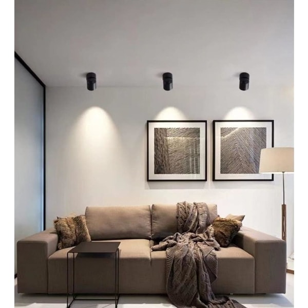 REMAKE Dæmpbar LED Loft Spotlight Indendørs Kunstlys Billedelys Downlight Retningsbestemt Loftlampe 12W 960LM (Sort)