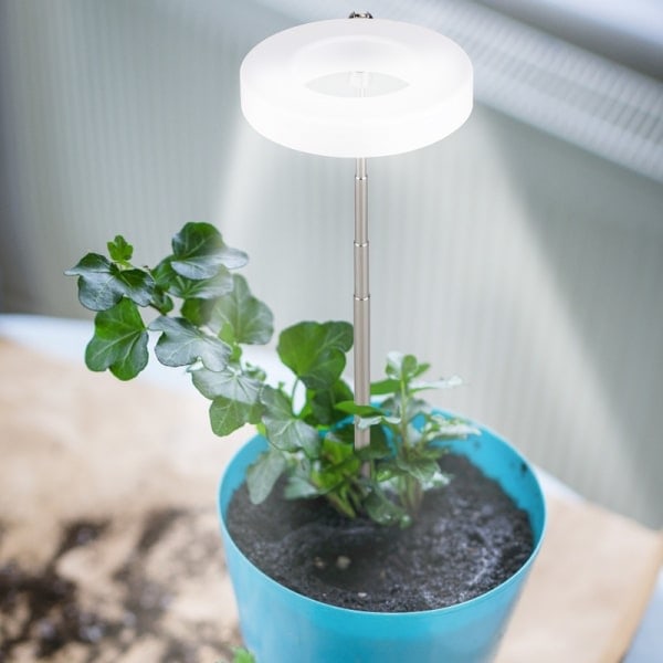 Växtbelysning med röda och blå LED-lampor Vit Vit
