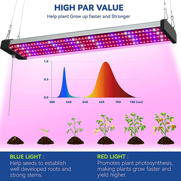 LED-kasvilamppu