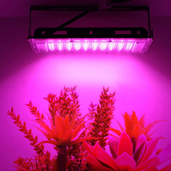 CDQ 50W LED Full Spectrum vækstlys til blomster Hydropon