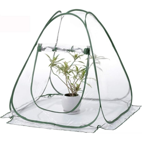 Mini växthus med transparent lock - växande tält - bärbar skydd för trädgård, trädgård, gård