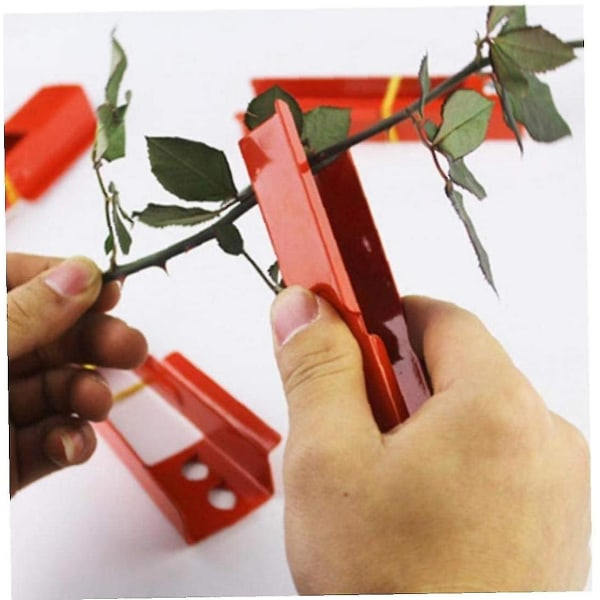 Beskjæringsverktøy Blomsterhandler Metall Blomst Rose Torn Stilk Stripper Rose Tang