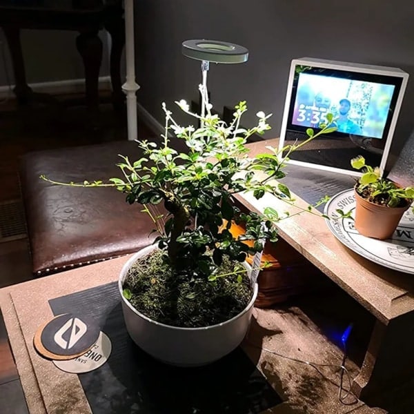 LED-växtlampa med fullspektrum, 3 ljuslägen, växtlampa med timer för inomhusväxter, grönsaker, blommor