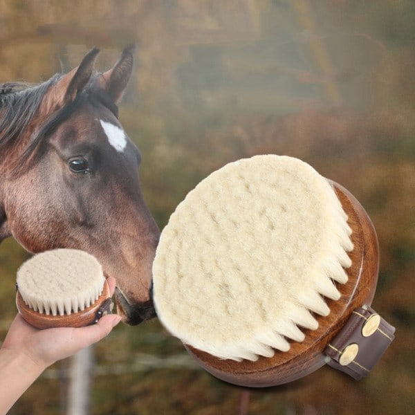 Borstar, hästtillbehör, träborstar för hästar, rörliga borstar, runda djurkammar, rengöringsborstar, hästtillbehör, rengöringsartiklar