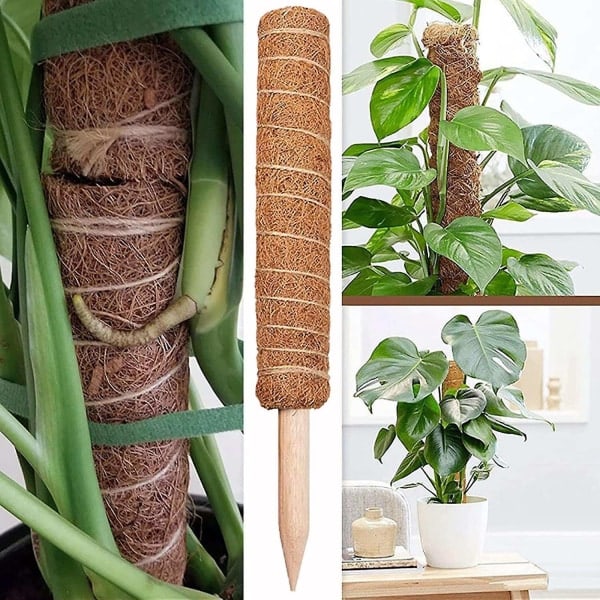 Mosspåle för Monstera-växter, Böjbar Växtpåle, Växtstöd för Inomhuskrukor, 45' Kokosfiberpåle Växtstöd för Sphagnum-Xin