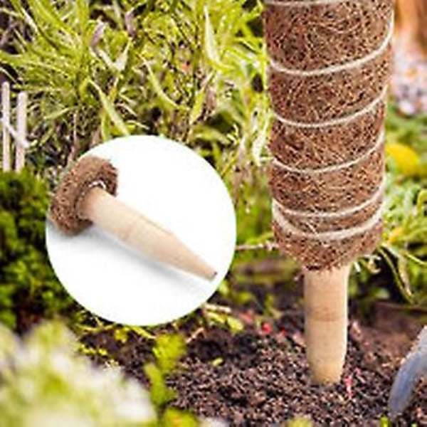 2-pack Stödpinnar för Klätterväxter Utbyggbara Kokosmosspinnar
