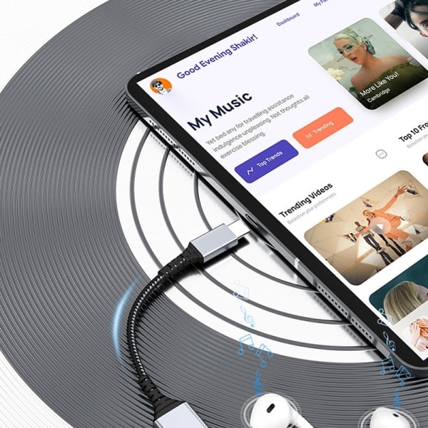 USB-C till Lightning-adapter för Apple 15-serien C hane till L hona Grå