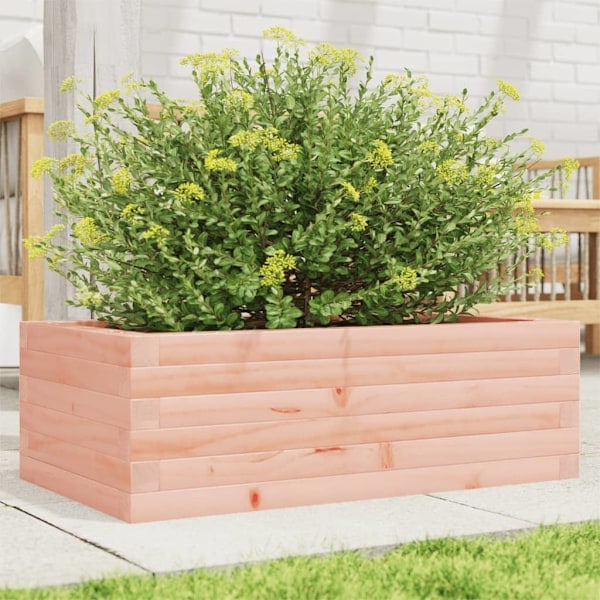 Growing box 70x40x23 cm solid Douglas wood