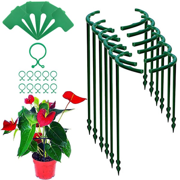 Växtstöd Buskstöd 10.3*6.5 Tum Hög Trädgårdsstöd Klätterväxt Blomstöd med 6 Växtklämmor och Band för Pioner