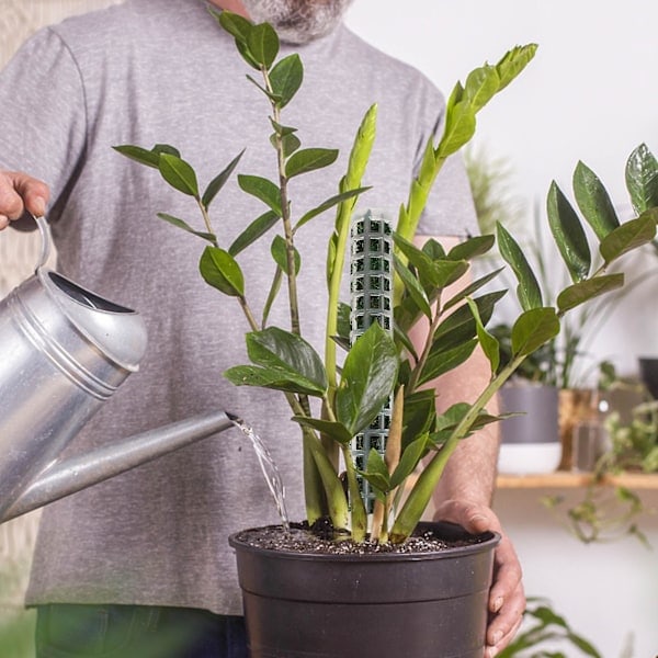 Plastisk mosspinne för växter Monstera, växtpinnar för klätterväxter, växtstöd för inomhusväxter fungerar med sphagnummossa B