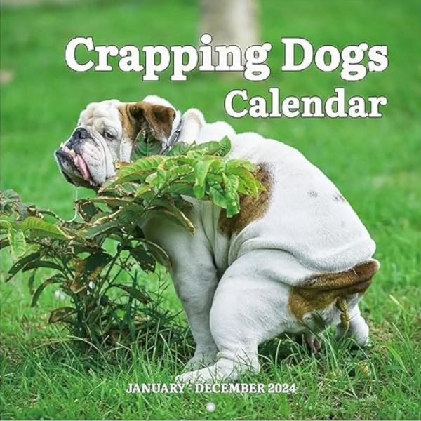 2024 Bajsande Hundar Kalender Nyår Hundbajs Kalender - 11.8*12.5 tum
