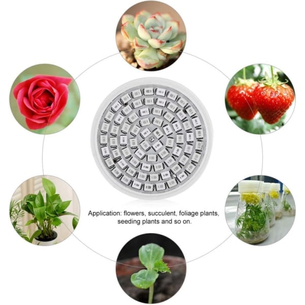 3,5W LED-växtlampa Fullspektrum Växtlampa för inomhusväxthus Grönsaker 72 LED