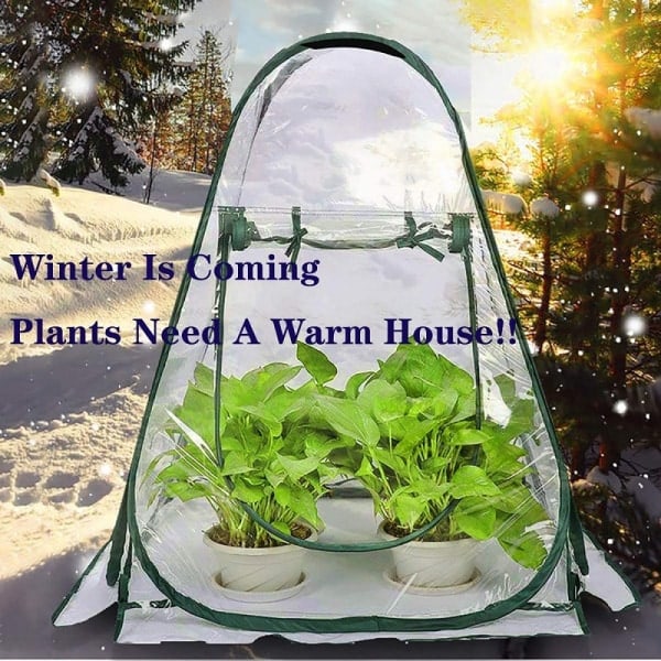Mini Drivhus Bærbar Pop-up Drivhustelt Plante