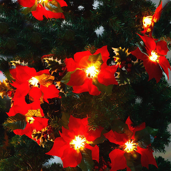 Juldekorationer med julstjärnor och ljusslinga