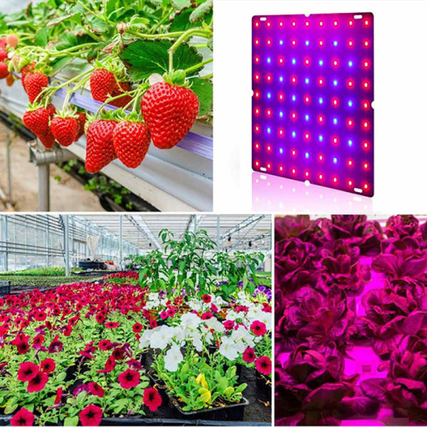 LED-kasvuvalo Täyspektrinen LED-valo Säädettävä köysimalli 1 (169LED-EU)