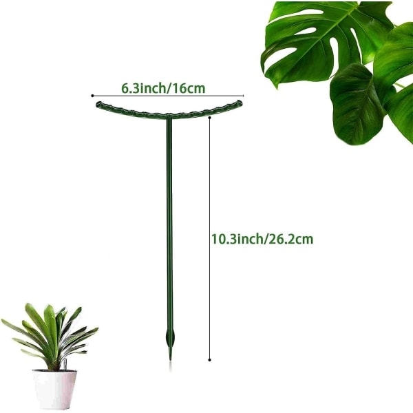 Växtstöd Plant Sticks Halvrund Växtstöd Ring, Trädgård Blomma Stöd 14 St 6.3 \"x10.3 \"[C]