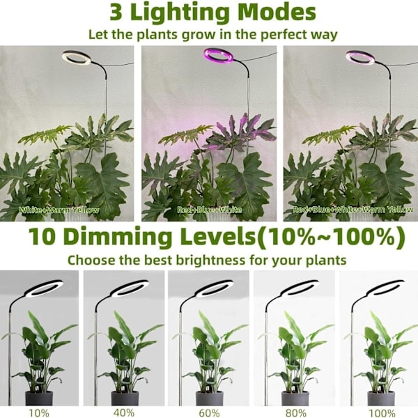 REMAKE LED Växtlampa för inomhusväxter, Fullspektrum skrivbordslampa med automatisk timer för 3H/9H/12H