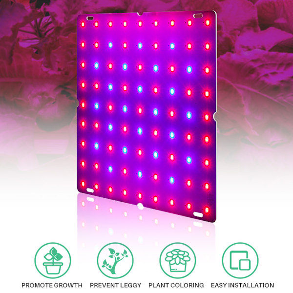 LED Växtlampor för inomhusväxter Fullspektrum 12W Panel Växtlampa