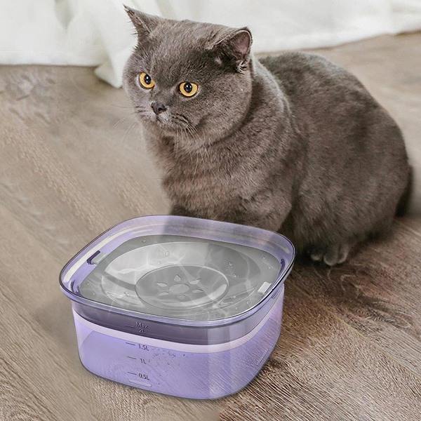 Anti-spill hundvattenkopp - Anti-spill hundvattenkopp | 2L Stor kapacitet katt- och hundvattenkopp