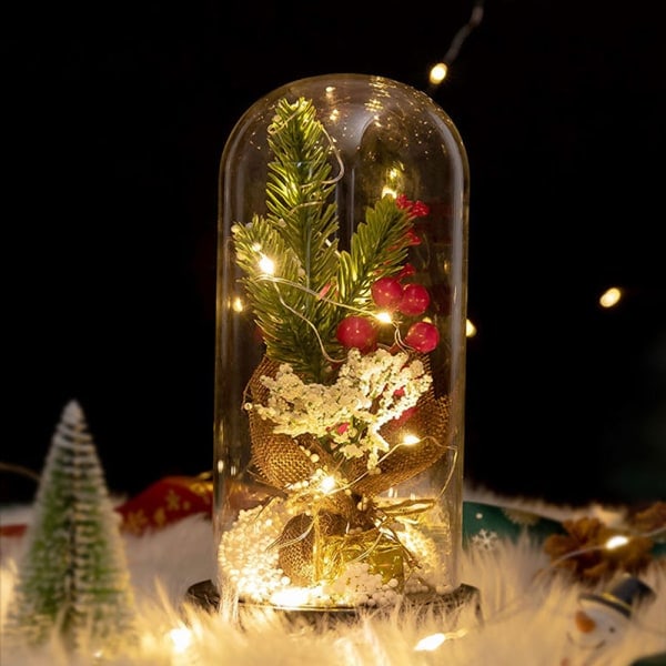 Glasbehållare julväxter juldekorationer Glasbehållare