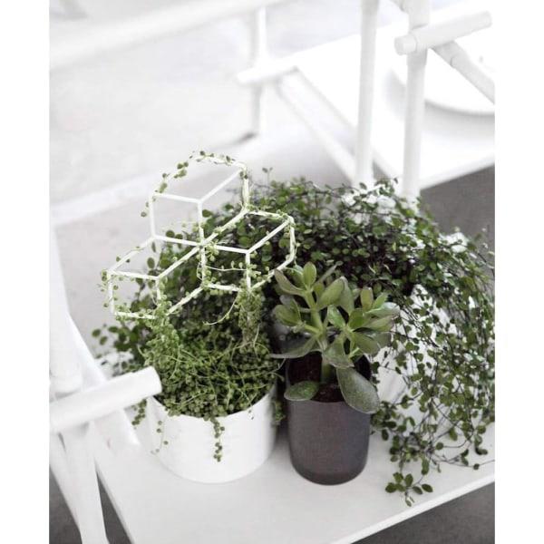 Havegitter i Metal til Haven, Gitterplante Støtte til DIY Potteplanter