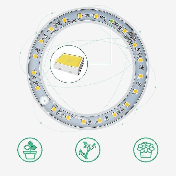 Plantelampe LED-lys til indendørs planter og sukkulenter