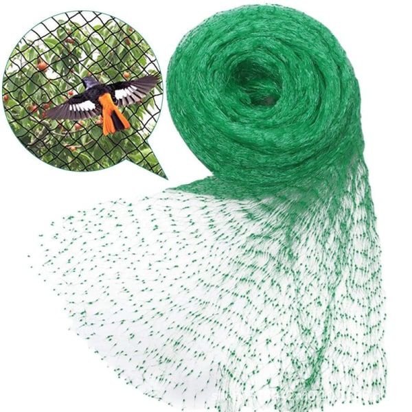 Solid fuglenett for hage gjerde og plantebeskyttelse netting anti-fuglenett hjort katt hund kylling nett fiskenett (Grønn 4×10m)