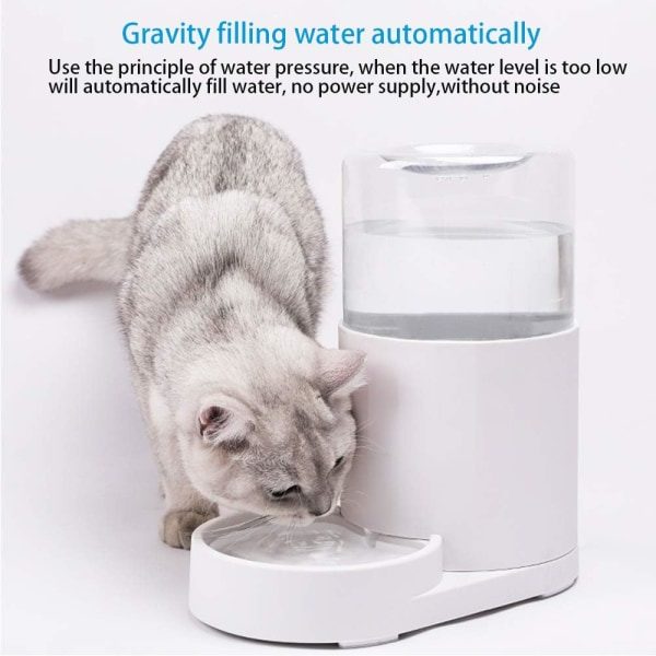 Pet Vandfontæne 2,5L [med Pet Bordplade] Stor Kapacitet Automatisk Gravity Vandmater (Transparent Hvid)