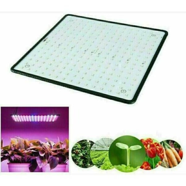 40W Hortikultur LED-lampa Blomningslampa, Inomhusodling LED-panel för växttillväxt, Vit