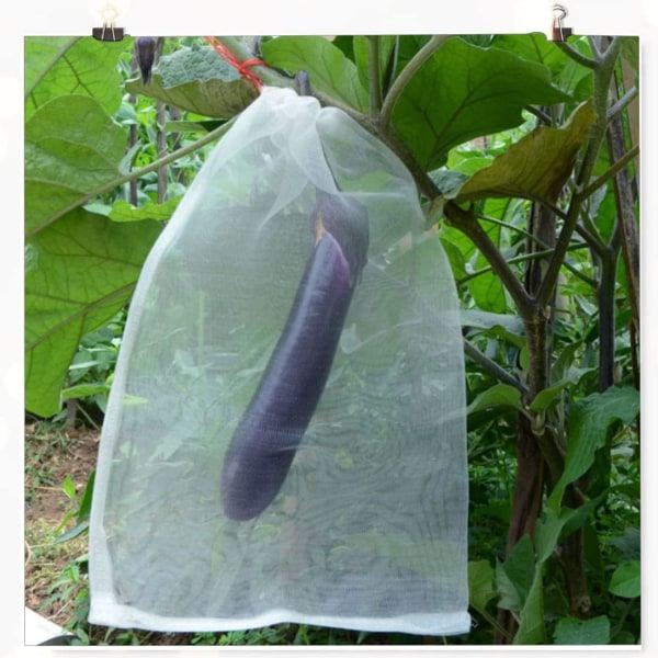 Net til plantebeskyttelse i haven - grøntsagsnet, beskyttelsesnet mod insekter og fugle (20 stk., 35 * 25 cm) Sunmostar