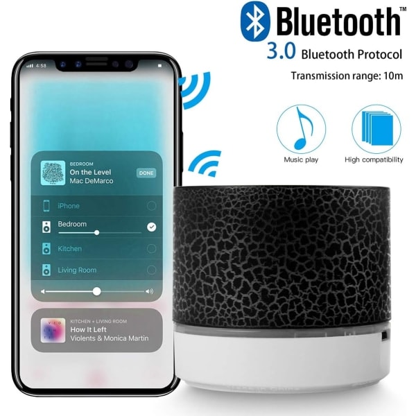 Portabel trådlös Bluetooth-högtalare med inbyggd mikrofon, handsfree Svart