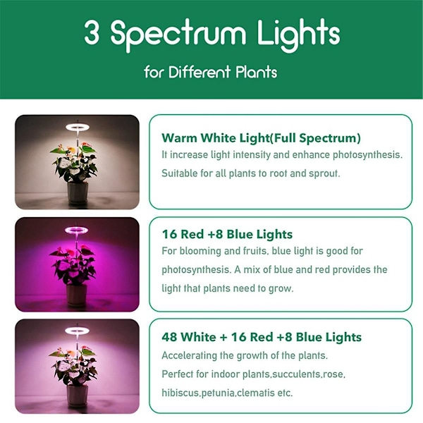 Växtlampa LED Växande lampa Fullspektrum för inomhusväxter Bonsai Höjdjusterbar Dimbar & Auto Timer.EU-kontakt