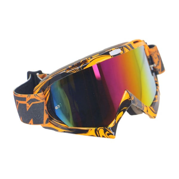 Skibriller / Snowboardglasögon - Flerfärgade