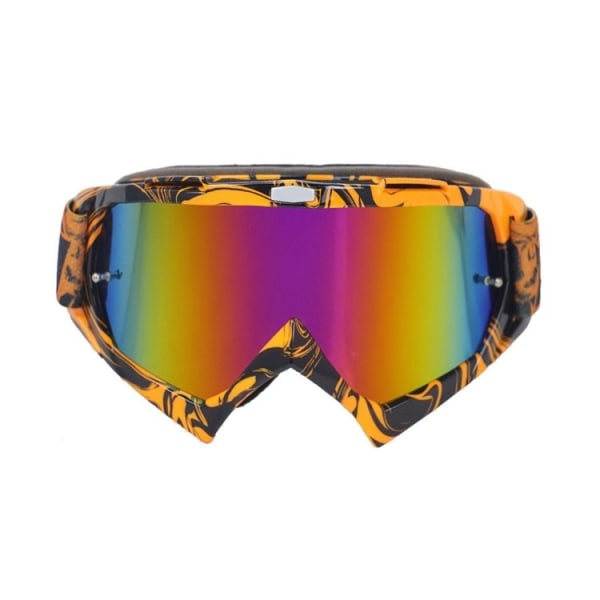Skibriller / Snowboardglasögon - Flerfärgade
