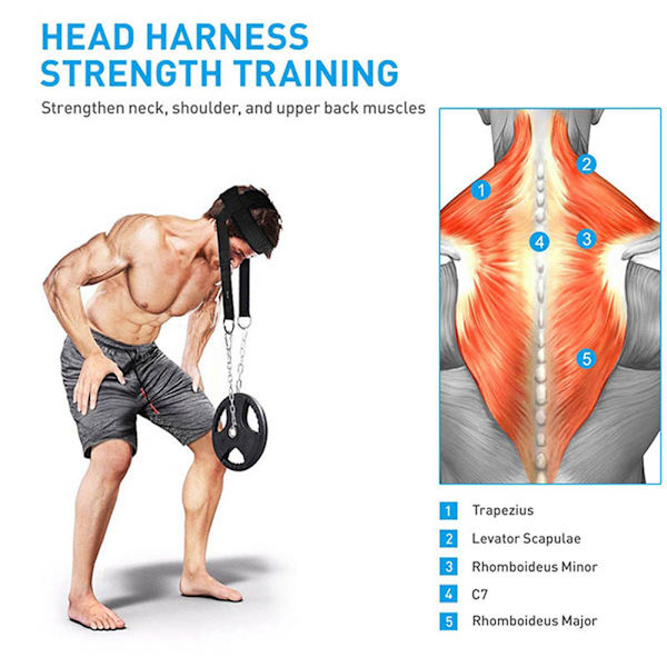 REMAKE Gym Hode Sele - nakketrener