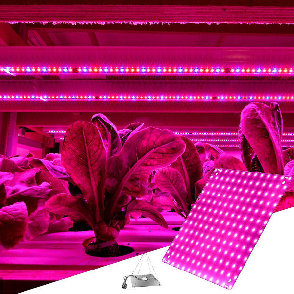 Plantelys med fullspektrum for innendørs planter - Quantum Board plantelampe med lavt energiforbruk for grønnsaker (EU) Starlight