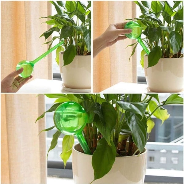 8 stk. Vandingskugler, Automatisk Vandingskugle til Vandings af Indendørs Planter Blomster Have i Potter (2 Størrelser, Grøn og Transparent)