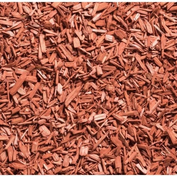 BROWN GOLD Korallilastut 4l