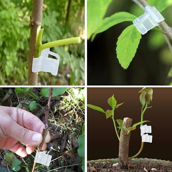 100 st 3 mm Plantuppbindningsklämmor i Plast för Tomat Grönsak Blomma Stamförbindelse