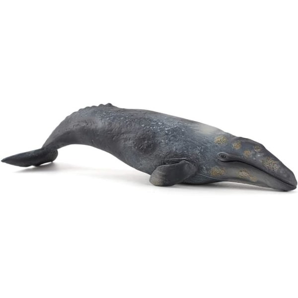 Hvaldyr Modelfigurer Legetøj Klasserumsundervisning Dekoration Statuer Hjem