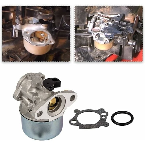 Karburator kompatibel med Briggs & Stratton motor 799868 498170 497586 498254 497314 497347, Ladacea