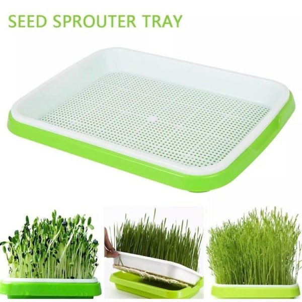 Mikrogrønts spiringbakke Hydroponisk / Spiring