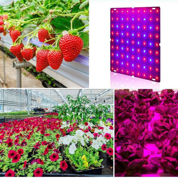 LED-kasvuvalot Punainen Sininen Paneeli Kasvuvalot Kasveille 169 LEDiä